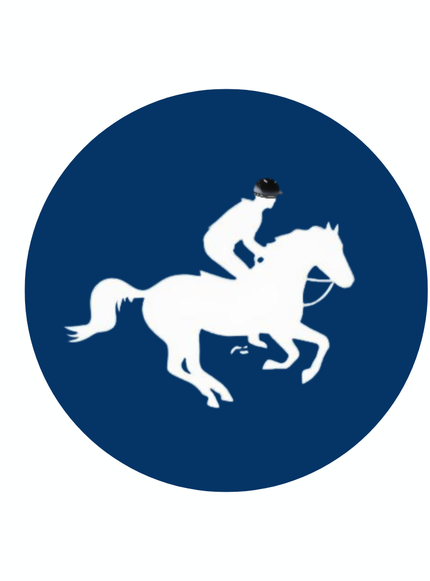 Collection image for: Notfallset beim Reiten