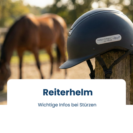 Collection image for: Reithelme