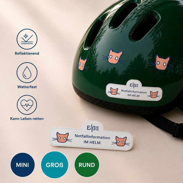 KIDSedition Katze
