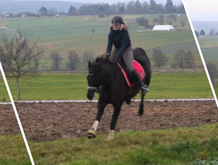 <h2>Sicherheit für Reiter <em>und</em> Pferd</h2>